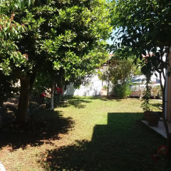 Semeli Hotel- Adults Only фото 9