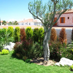 Jakamar Boutique Hotel Чешме фото 10