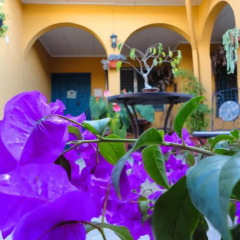 Отель La Posada de Juan B&B Грасьяс