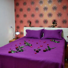 Seyri Istanbul Hotel 3* Стандартный номер с различными типами кроватей фото 4