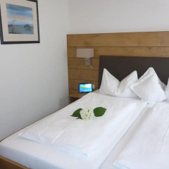 Hotel-Pension Scharl am Maibaum 3* Стандартный номер с двуспальной кроватью фото 8