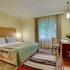 Amara Club Marine Nature 5* Стандартный номер с различными типами кроватей