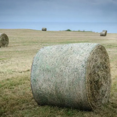 Отель Posada Punta Ballota спортивное сооружение
