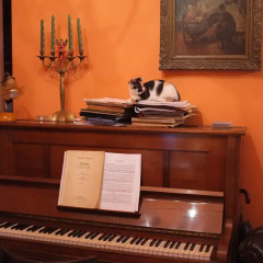 Отель Piano Guest House удобства в номере