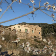 Отель Masia Casajoana Rural спортивное сооружение