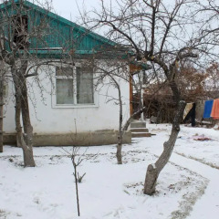 Отель Guesthouse Alakol Кыргызстан, Каракол - отзывы, цены и фото номеров - забронировать отель Guesthouse Alakol онлайн бассейн