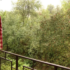 Отель Dilbo House Стандартный номер фото 5