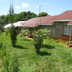 Отель Africana Yard детские мероприятия фото 2