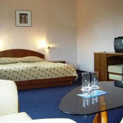 Hotel Finlandia- Half Board 4* Стандартный номер