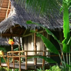 Отель Tenta Nakara Resort and Restaurant Таиланд, Ко-Нака-Яй - отзывы, цены и фото номеров - забронировать отель Tenta Nakara Resort and Restaurant онлайн детские мероприятия