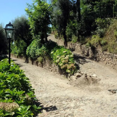 Отель Quinta Das Escomoeiras Амаранте пляж