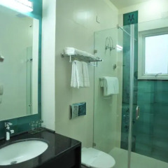 Mantra Amaltas Hotel 4* Номер Комфорт с различными типами кроватей фото 2