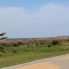 Отель Apartamentos Carril de la Fuente Испания, Кониль-де-ла-Фронтера - отзывы, цены и фото номеров - забронировать отель Apartamentos Carril de la Fuente онлайн