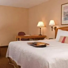 Отель Meadowlands River Inn комната для гостей фото 4