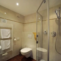 Hotel Goldener Löwe 3* Стандартный номер с различными типами кроватей фото 11