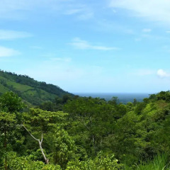 Отель Rio Santiago Nature Resort фото 3