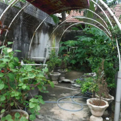 New negombo beach hostel фото 14