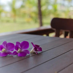 Отель C&N Kho Khao Beach Resort с домашними животными