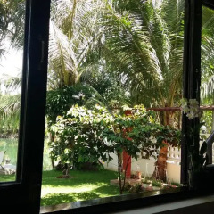 Отель CoCo Riverside Homestay Хойан