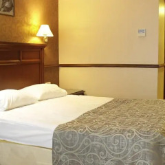 Topkapi Inter Istanbul Hotel 4* Стандартный номер с двуспальной кроватью фото 46
