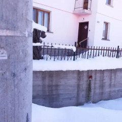 Отель Guest House AHP Болгария, Боровец - отзывы, цены и фото номеров - забронировать отель Guest House AHP онлайн фото 5