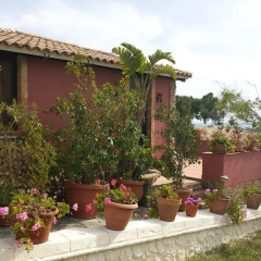 Отель Villa Smeralda Сиракуза фото 19