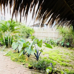Отель An Bang Sunrise Beach Bungalow фото 3