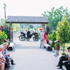 Гостиница Tulpan Hotel Украина, Хуст - отзывы, цены и фото номеров - забронировать гостиницу Tulpan Hotel онлайн спортивное сооружение