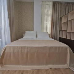 Гостиница Blagoe ApartHotel 2* Студия с различными типами кроватей фото 8