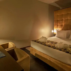 Douro Palace Hotel Resort and Spa 4* Стандартный номер двуспальная кровать фото 4