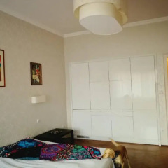 Апартаменты Danube apartment Будапешт комната для гостей фото 2
