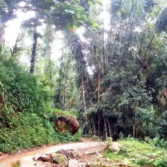Отель Hoang Kim Homestay Шапа фото 3