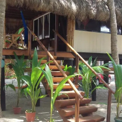 Отель Bungalows Tree Tops 5* Вилла с различными типами кроватей фото 22