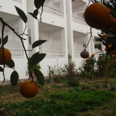 Отель Antouan Matina Студия фото 30