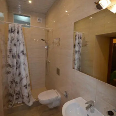 Stary Gorod Mini-Hotel 3* Стандартный номер с различными типами кроватей фото 4