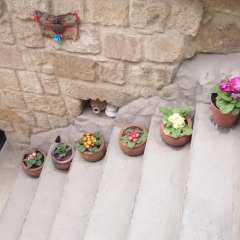 Отель Naturels Cave House Ургуп
