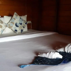 Отель Esmeralda View Resort с домашними животными