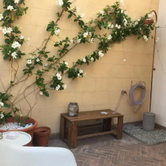 Отель La Terrazza sul Massimo Италия, Палермо - отзывы, цены и фото номеров - забронировать отель La Terrazza sul Massimo онлайн помещение для мероприятий