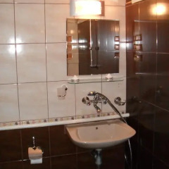 Отель Borimechkovata Kashta 2* Полулюкс с различными типами кроватей фото 5