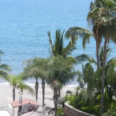Отель Vallarta Jr Suites Студия с различными типами кроватей фото 3