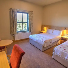The Lucan Spa Hotel 3* Стандартный номер с разными типами кроватей фото 14