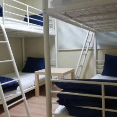 Seoul Forest Guesthouse - Hostel Кровать в женском общем номере с двухъярусной кроватью фото 3