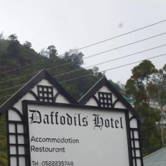 Daffodils Hotel балкон