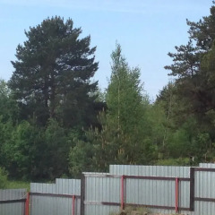 Гостиница Guest House Zarechye 18