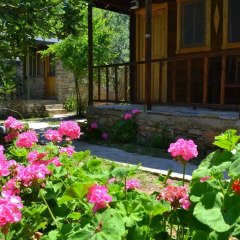 Montenegro Motel Стандартный номер с двуспальной кроватью фото 11