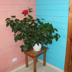 Гостиница Guest House in Krasnyy Klyuch балкон