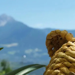Отель Pension Alpenblick Лагундо фото 7