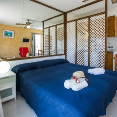 Отель Estel Blanc Apartaments - Adults Only Номер категории Премиум с различными типами кроватей