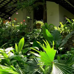 Отель Maratree Шри-Ланка, Бентота - отзывы, цены и фото номеров - забронировать отель Maratree онлайн фото 13