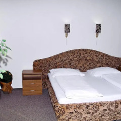 Отель RADNICE 4* Апартаменты фото 4